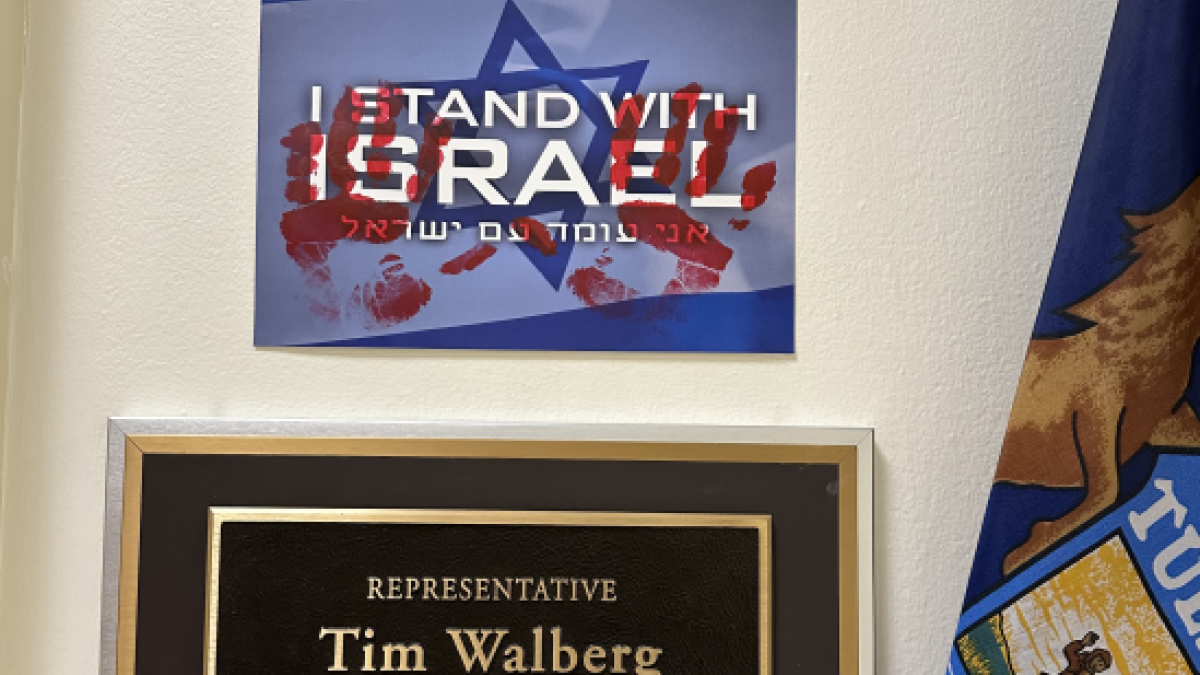 Israel Vandalization for website