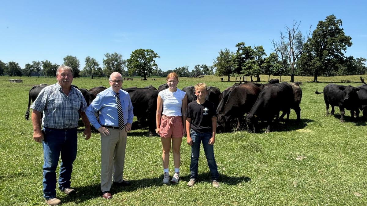 Sears Cattle Farm 