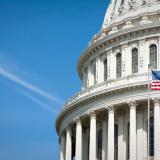 United States Capitol Dome and Flag