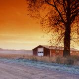 Photo of barn in the distance