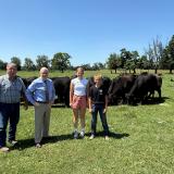 Sears Cattle Farm 