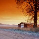 Red-Farm-Barn 